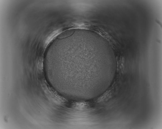 X0000102240344200808081441