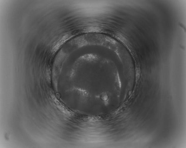 X0000102240345200808081441