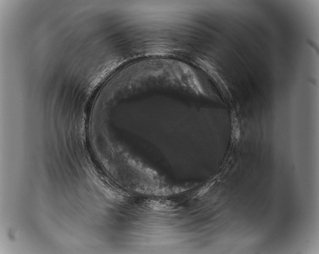 X0000102240346200808081441