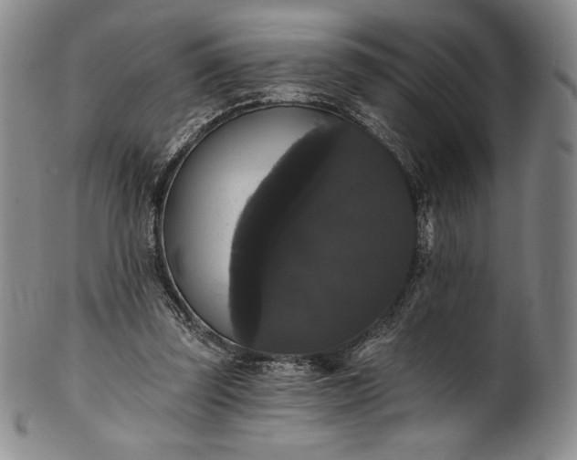 X0000102240347200808081441