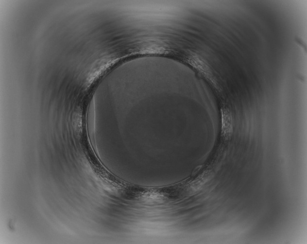 X0000102240348200808081441