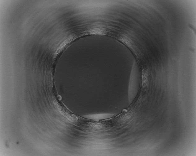 X0000102240349200808081441