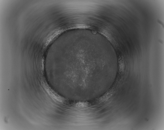 X0000102240350200808081441