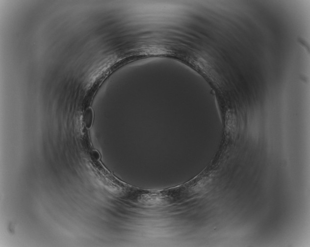 X0000102240351200808081441