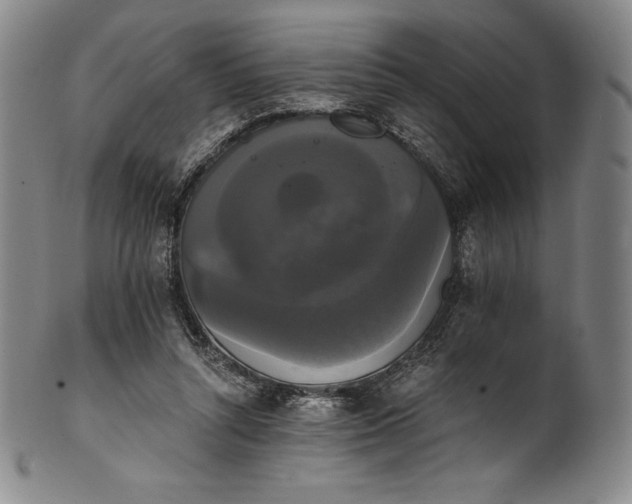 X0000102240352200808081441