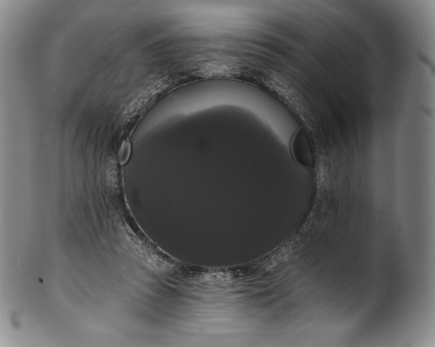 X0000102240353200808081441