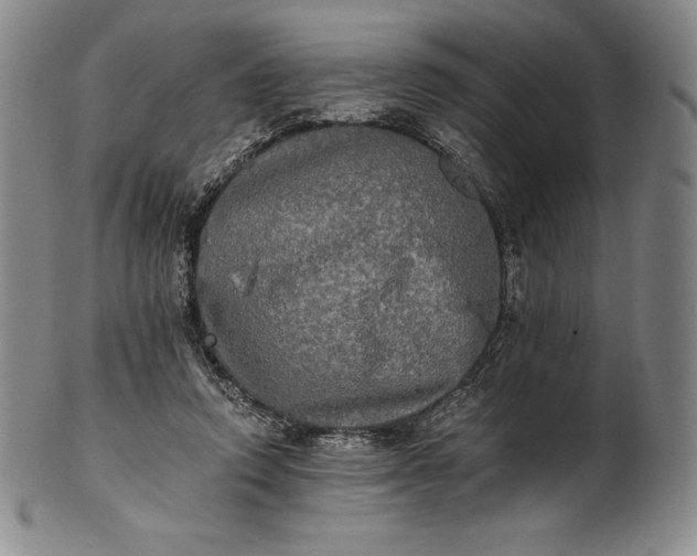 X0000102240354200808081441