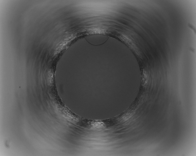 X0000102240355200808081441