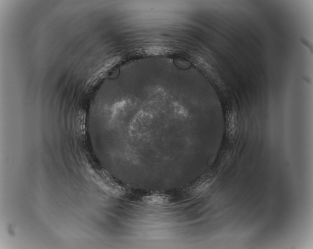 X0000102240356200808081441