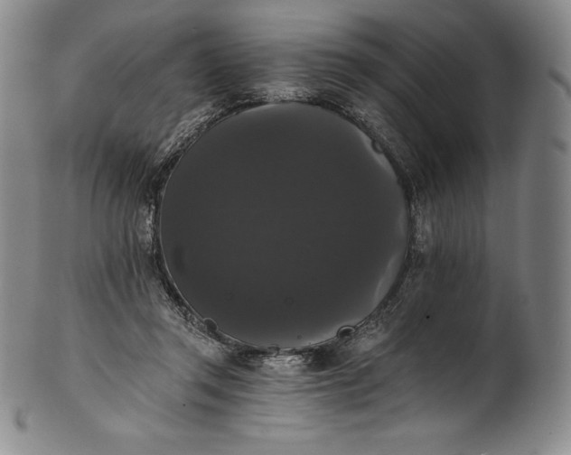 X0000102240357200808081441