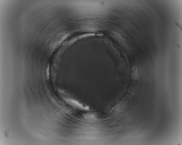 X0000102240358200808081441