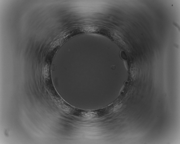 X0000102240359200808081441