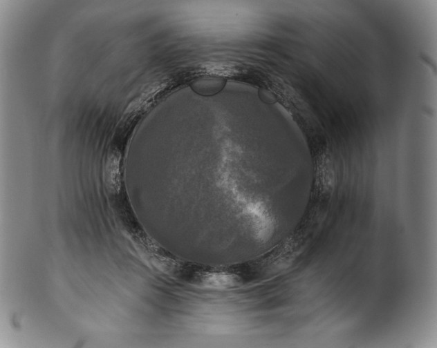 X0000102240360200808081441