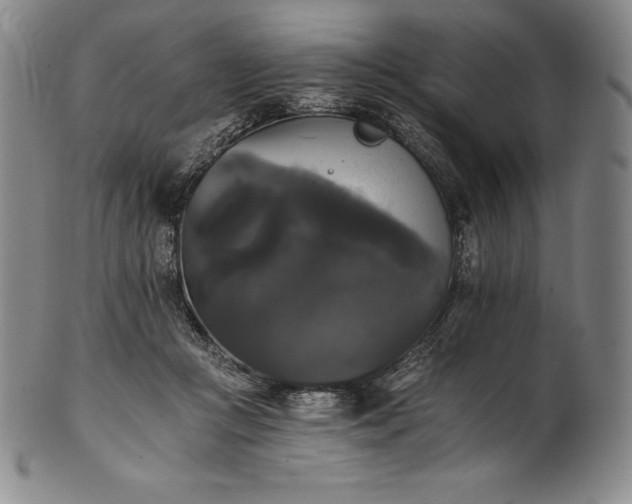 X0000102240361200808081442