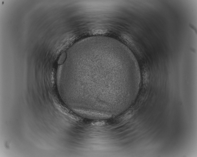 X0000102240362200808081442