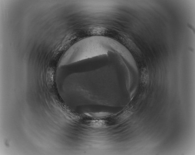 X0000102240363200808081442