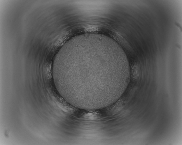 X0000102240364200808081442