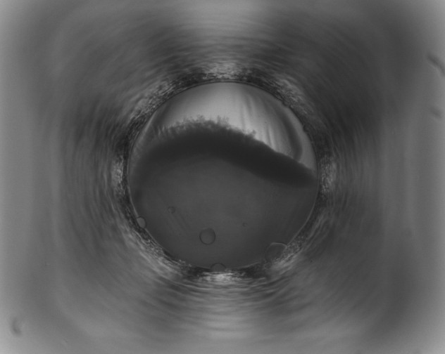 X0000102240365200808081442