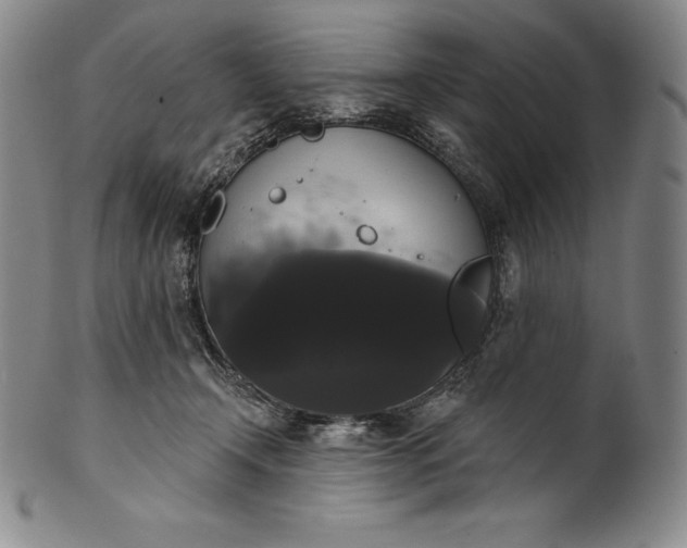 X0000102240366200808081442