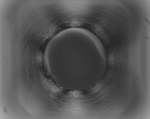 X0000102240367200808081442