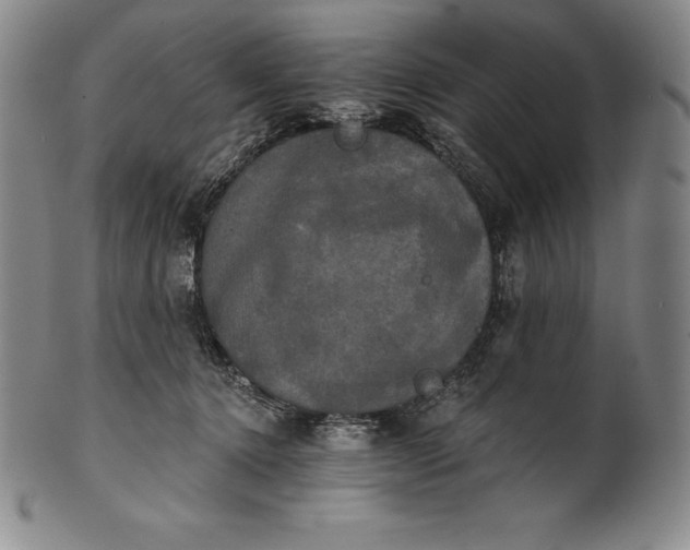 X0000102240368200808081442