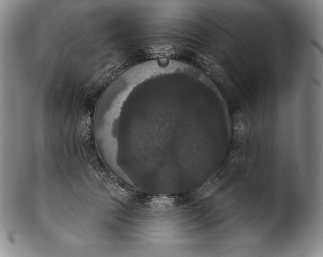 X0000102240369200808081442