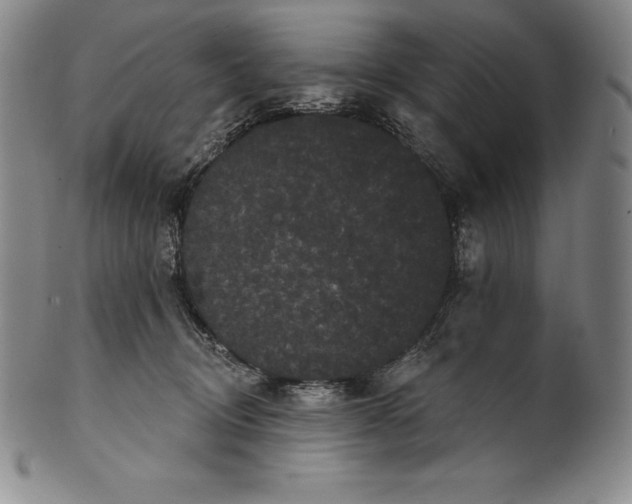 X0000102240370200808081442