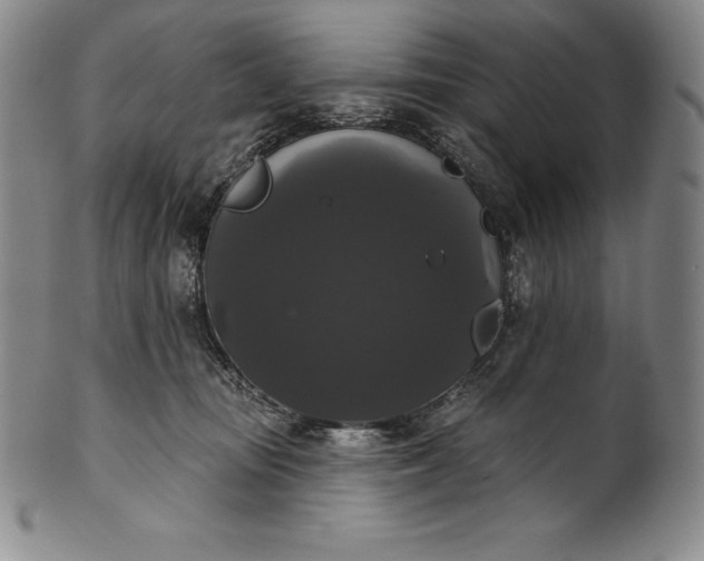 X0000102240371200808081442