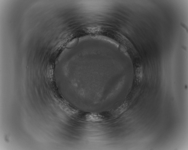 X0000102240372200808081442