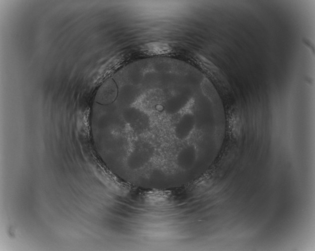 X0000102240373200808081442