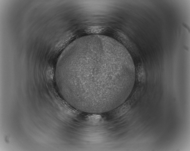 X0000102240374200808081442