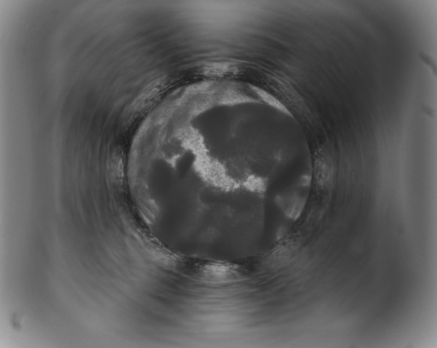 X0000102240375200808081442