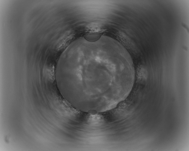 X0000102240376200808081442