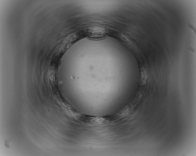 X0000102240379200808081442