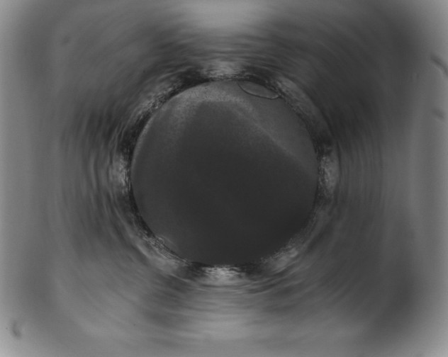 X0000102240380200808081442