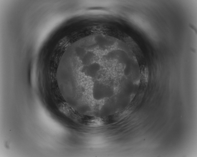 X0000102240381200808081442