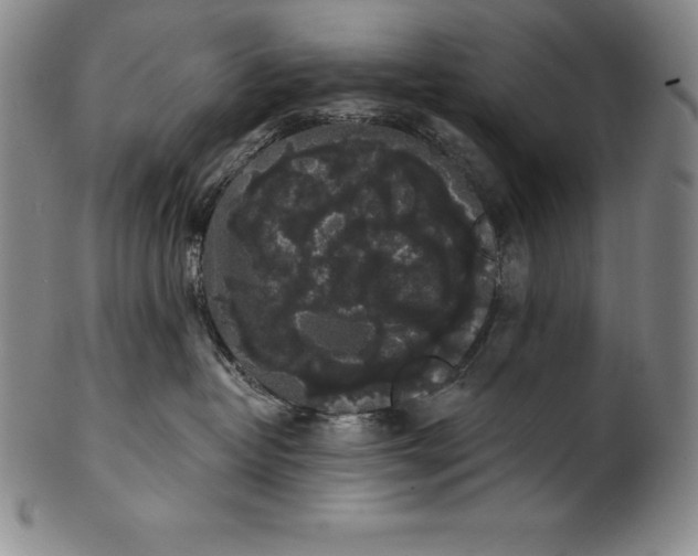 X0000102240382200808081442