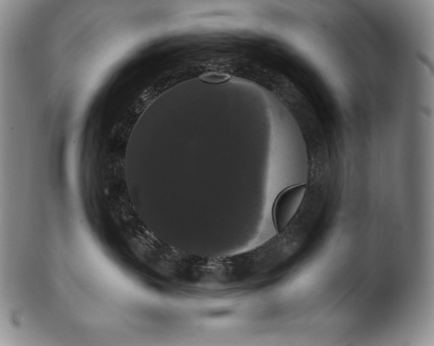 X0000102240383200808081442