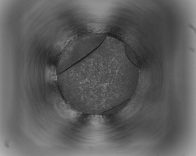 X0000102240384200808081442