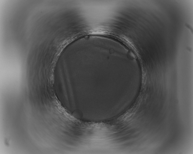 X0000102240385200808081441