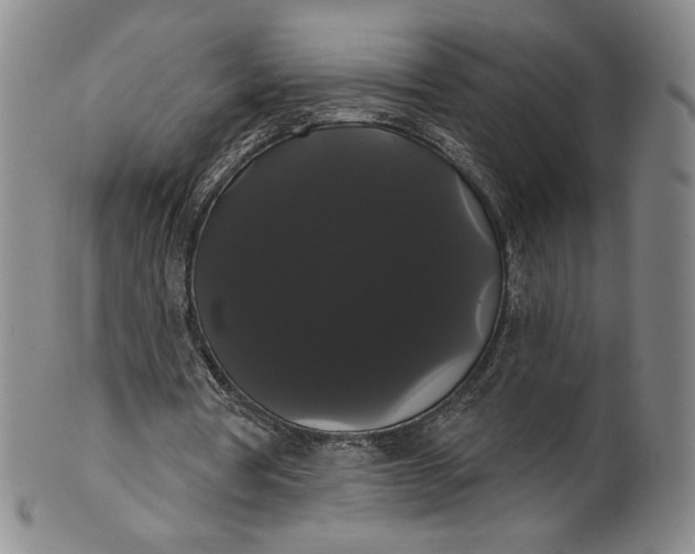 X0000102240386200808081441