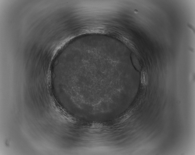 X0000102240388200808081441