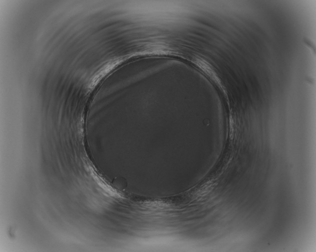 X0000102240389200808081441