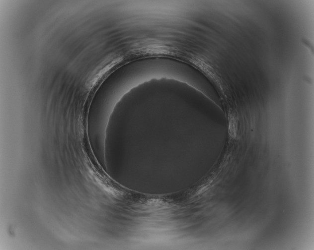 X0000102240390200808081441