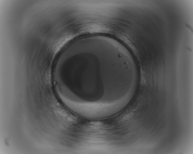 X0000102240391200808081441