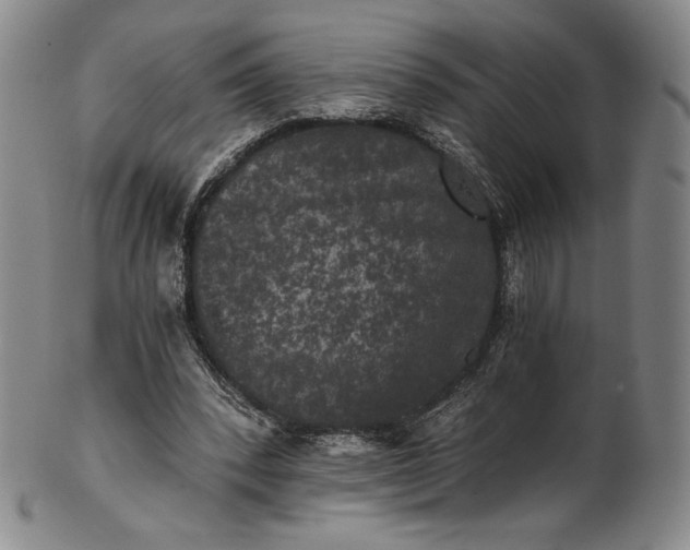 X0000102240392200808081441