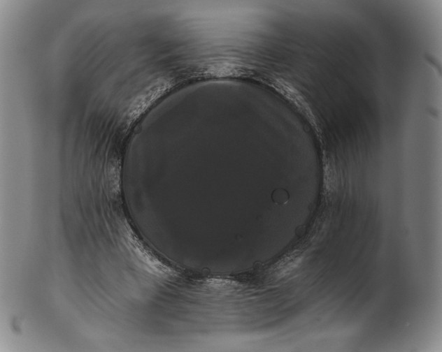 X0000102240393200808081441