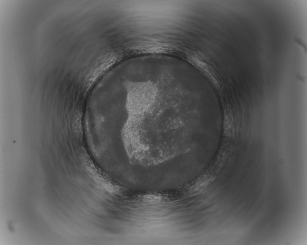 X0000102240394200808081441