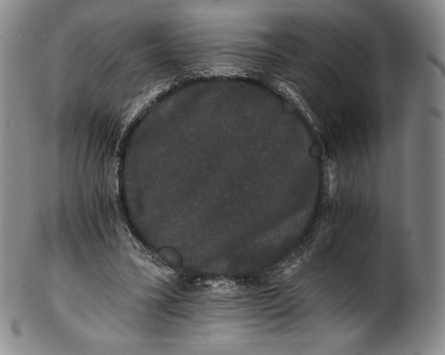 X0000102240395200808081441