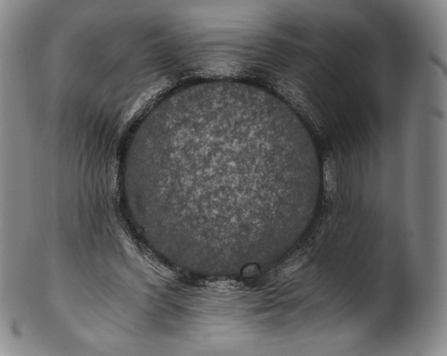 X0000102240396200808081441